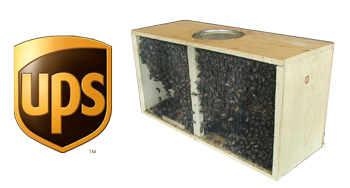 Package Bees 3lb - Delivered to Your Doorstep